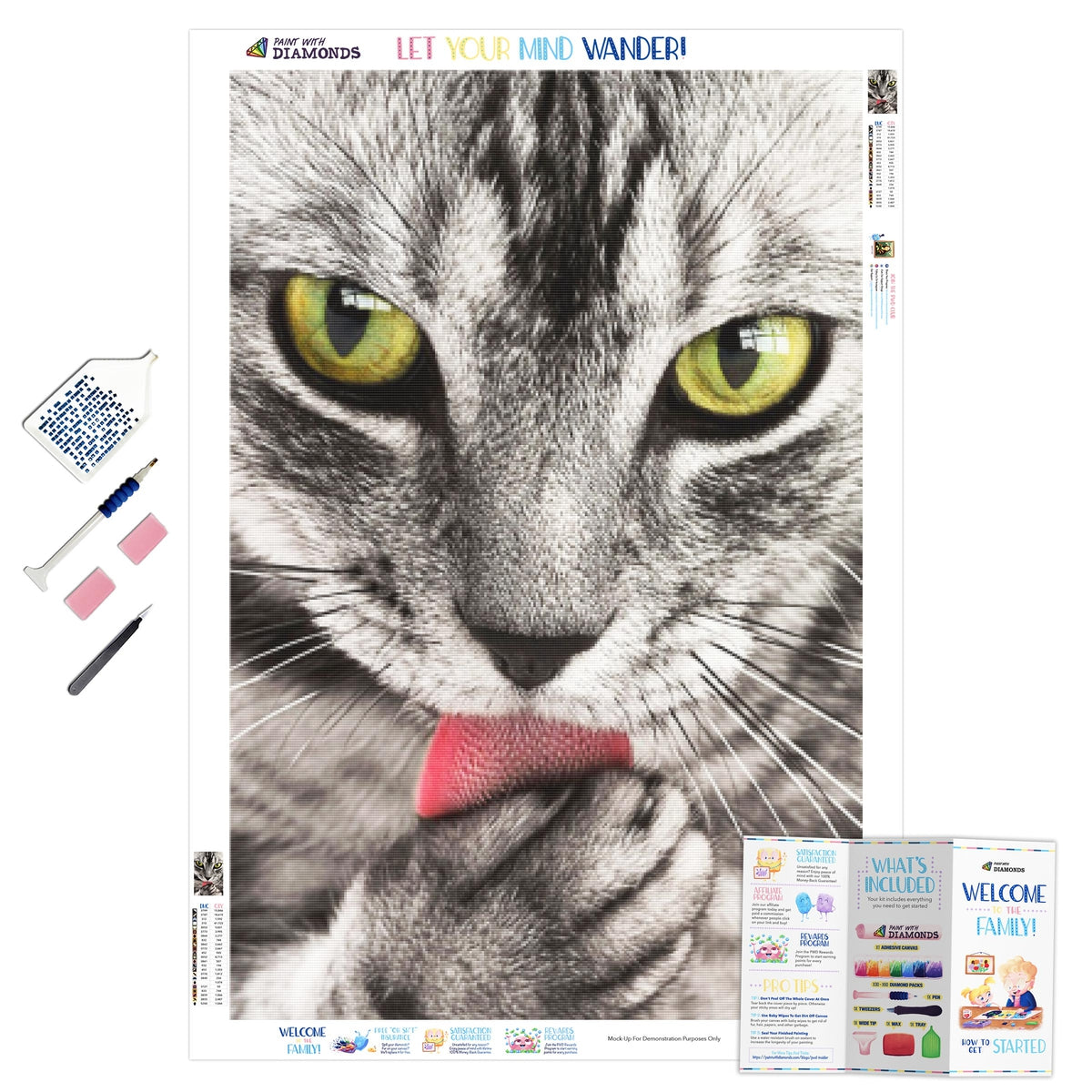 Tabby Portrait — Diamond Painting Kit