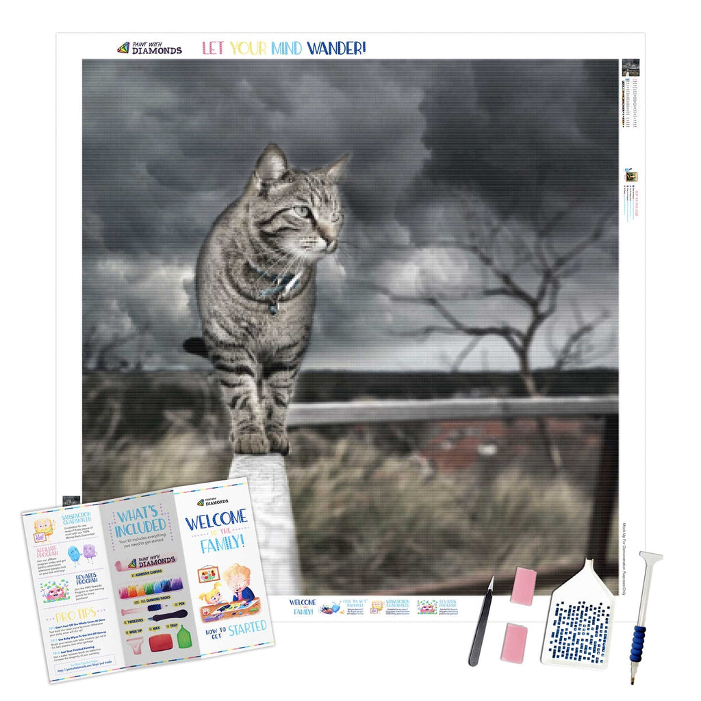 Walk The Line — Diamond Painting Kit