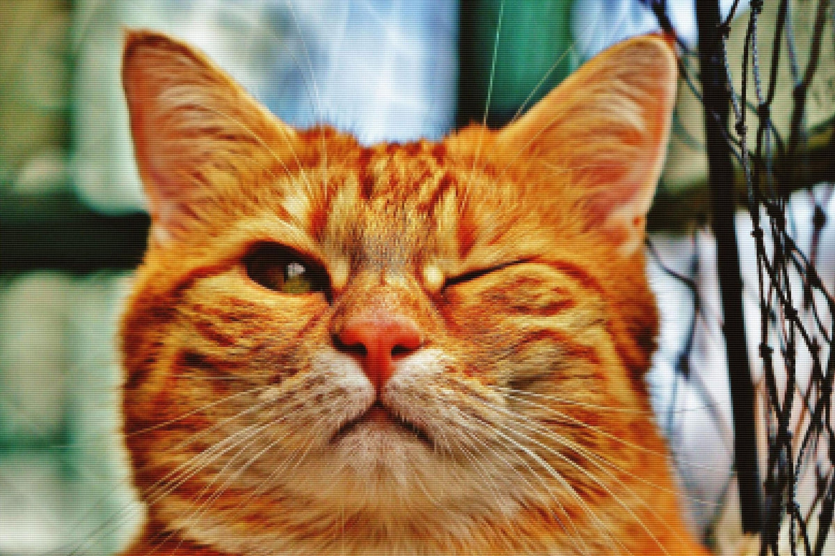 Wink Wink — Diamond Painting Kit