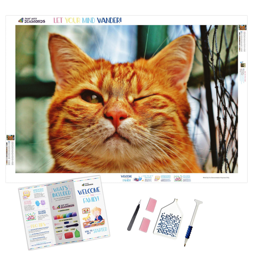 Wink Wink — Diamond Painting Kit