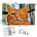 Wink Wink — Diamond Painting Kit