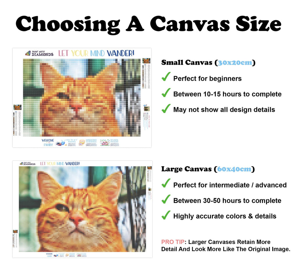 Wink Wink — Diamond Painting Kit