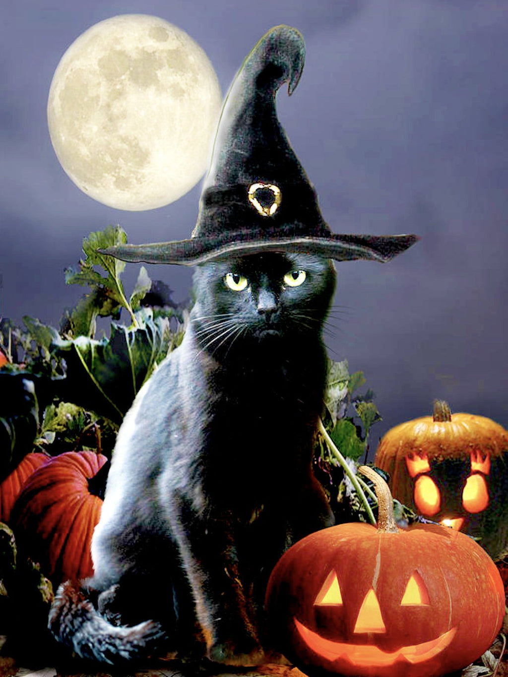 Witchy Black Halloween Cat — Diamond Painting Kit