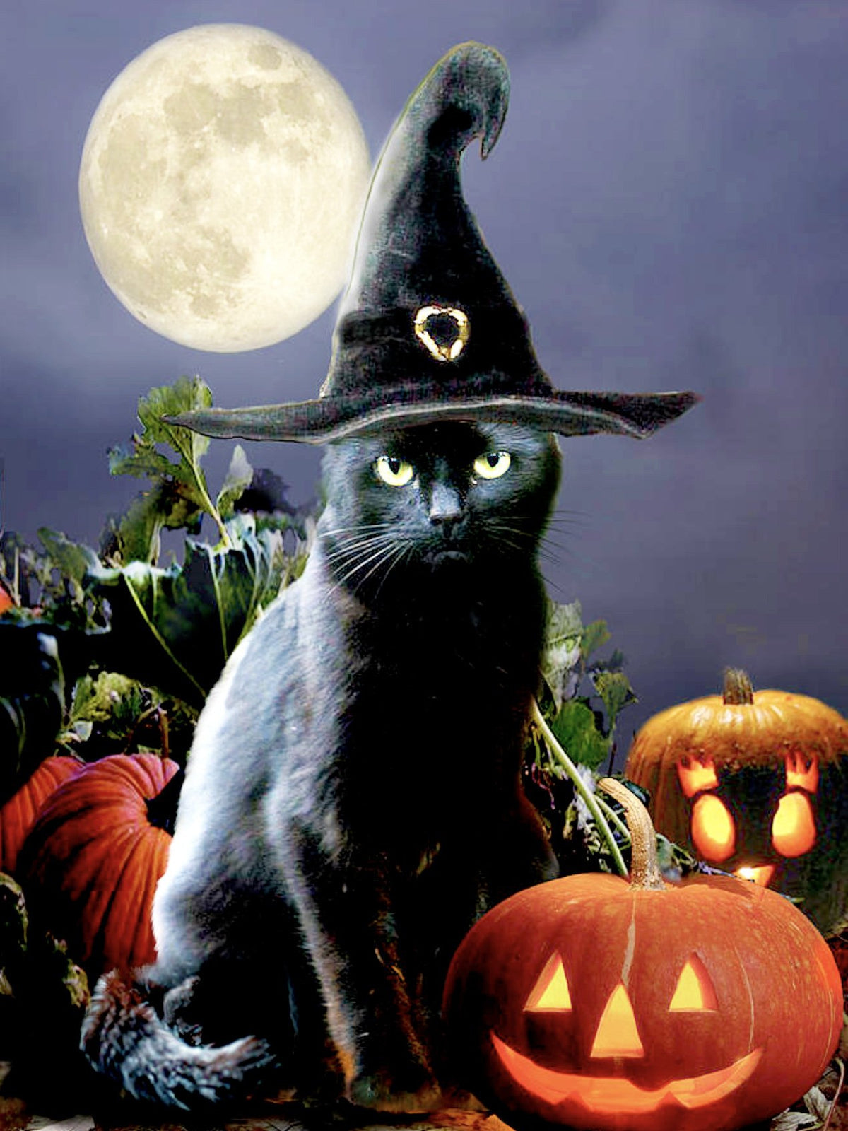 Witchy Black Halloween Cat — Diamond Painting Kit