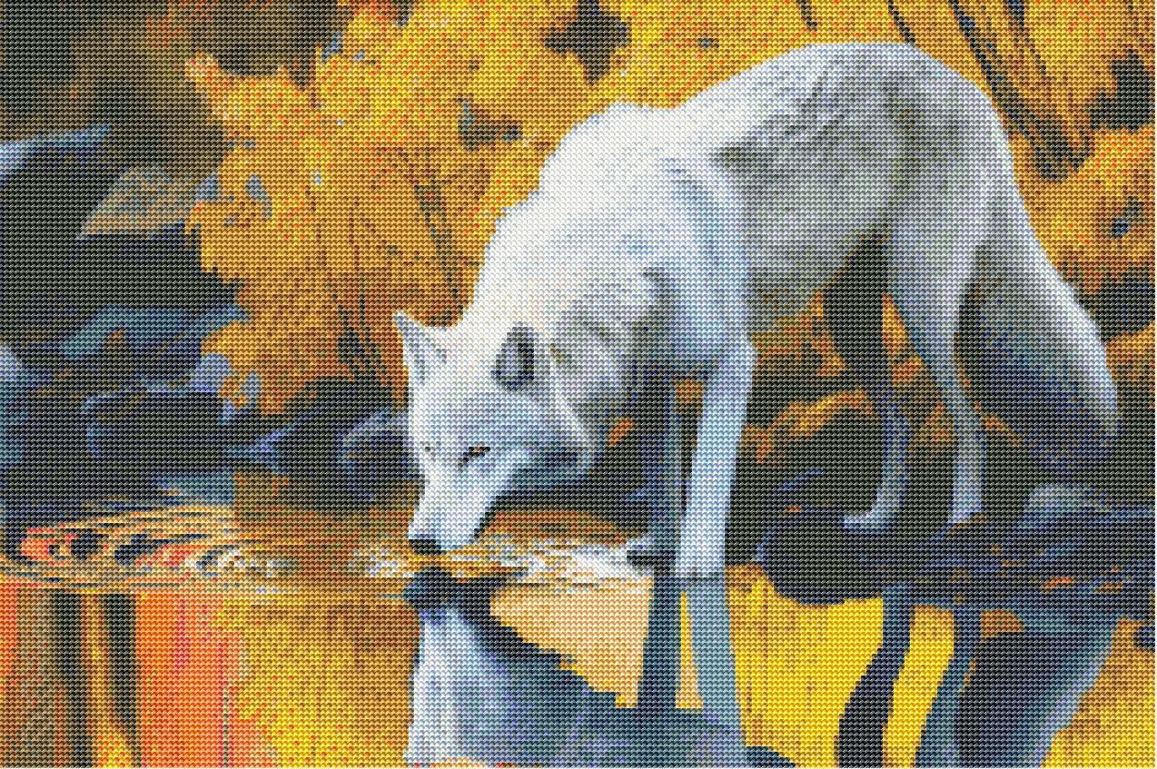Wolf Refreshed by the Lake — Diamond Painting Kit