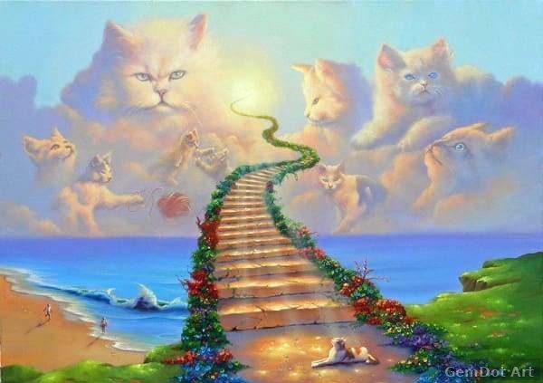 All Cats Go To Heaven — Diamond Painting Kit