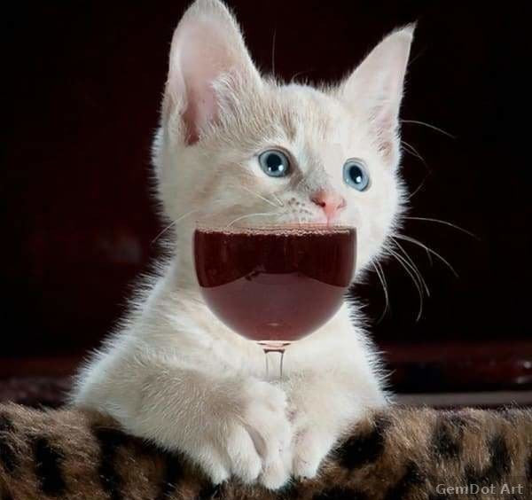 Cat Wine — Diamond Painting Kit