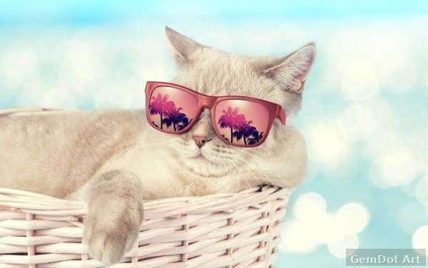 Chill Kitten — Diamond Painting Kit