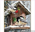 Christmas Celebration - Starter Edition — Diamond Painting Kit