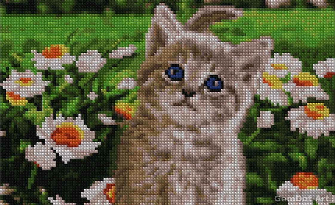 Cute Kitty - Starter Edition — Diamond Painting Kit