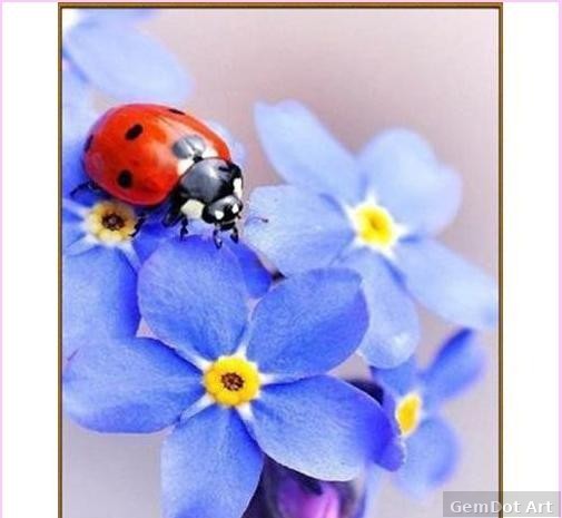 Cute Little Ladybug - Starter Edition — Diamond Painting Kit
