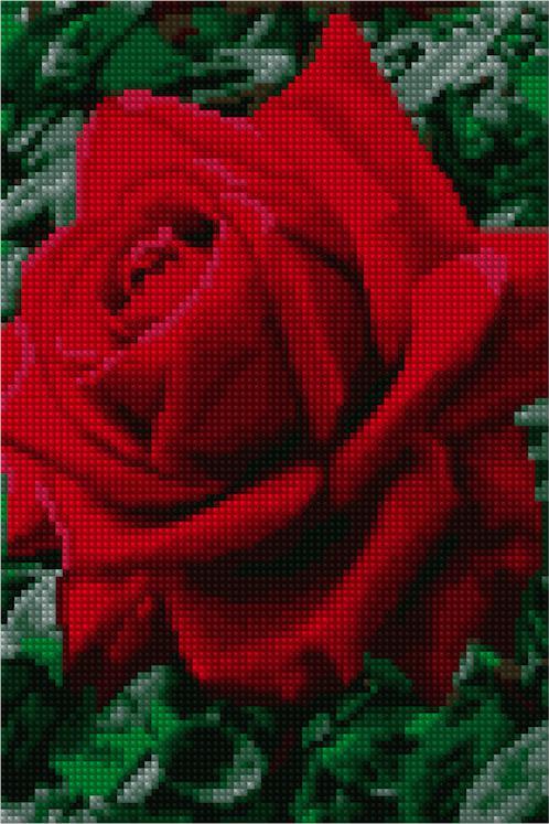 Pretty Delicate Rose - Starter Edition — Diamond Painting Kit