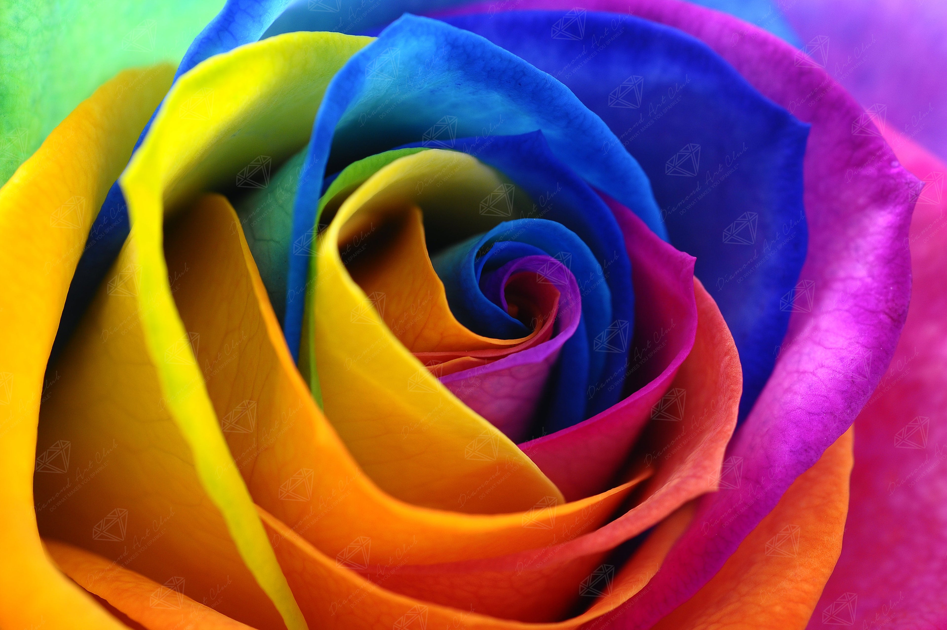 Rainbow Flower Petals — Diamond Painting Kit