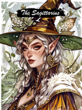 The Sagittarius – Wild Spirit (3FD + 3AB + 3Metallic) — Diamond Painting Kit