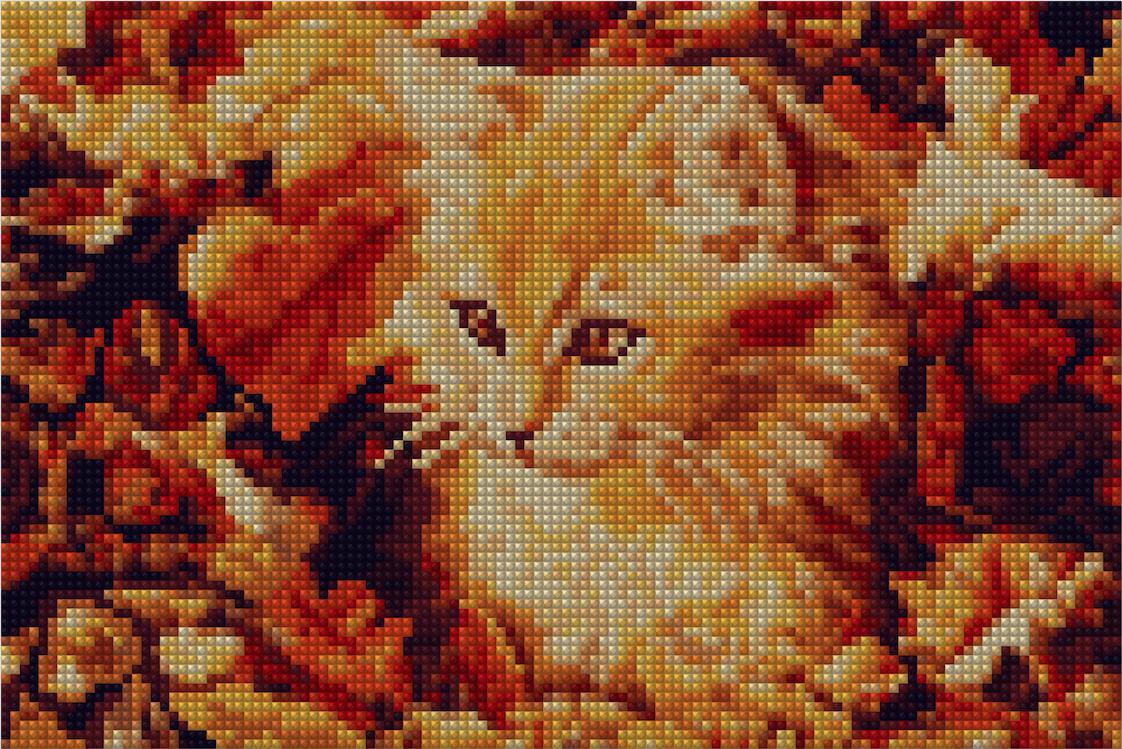 Smitten Kitten - Starter Edition — Diamond Painting Kit
