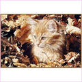Smitten Kitten - Starter Edition — Diamond Painting Kit