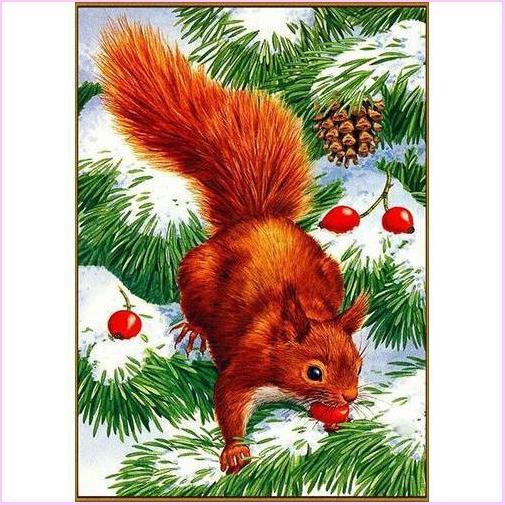 Squirrel in Snow - Starter Edition — Diamond Painting Kit