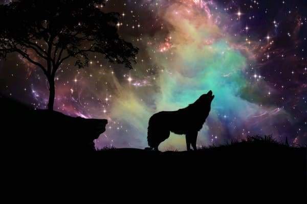 Starry Night Wolf — Diamond Painting Kit