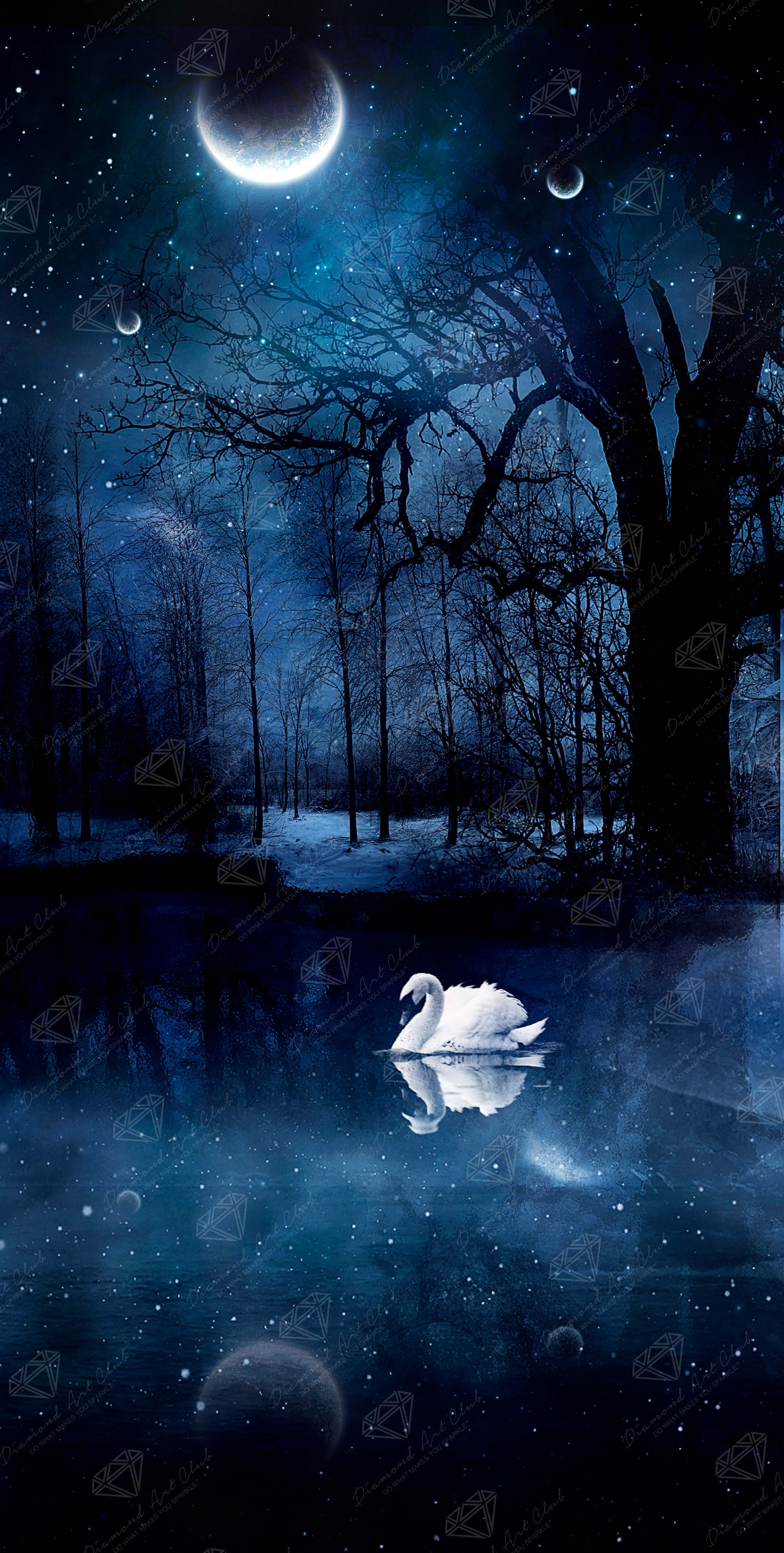 Swan Lake — Diamond Painting Kit