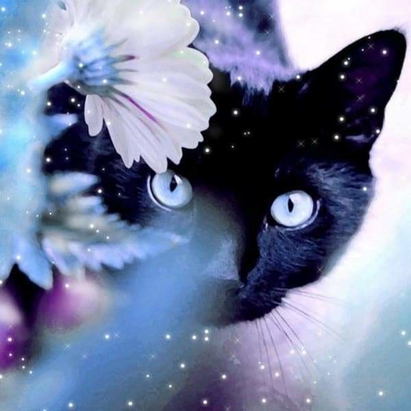 Violet Kitty — Diamond Painting Kit